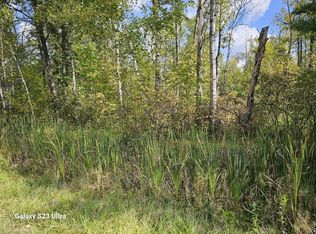 Waterfront Ville Rivers & New Trail Rd, Gladwin, MI 48624