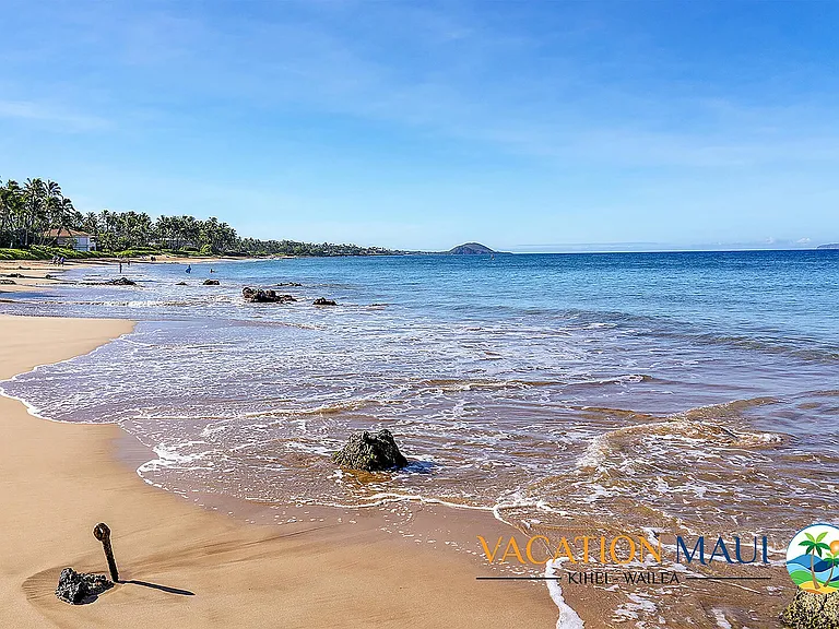 Wailea Alanui Dr — Photo 48