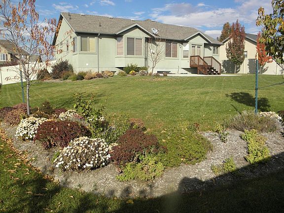Large Backyard