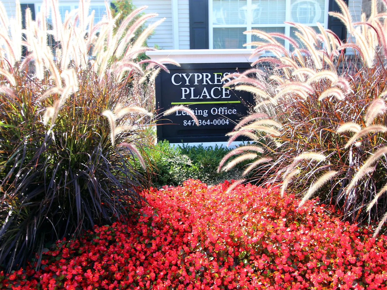Cypress Place — Photo 4