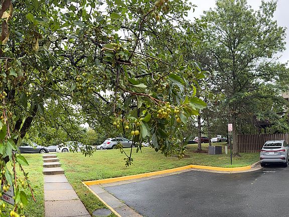 Resident and Visitor Parking View