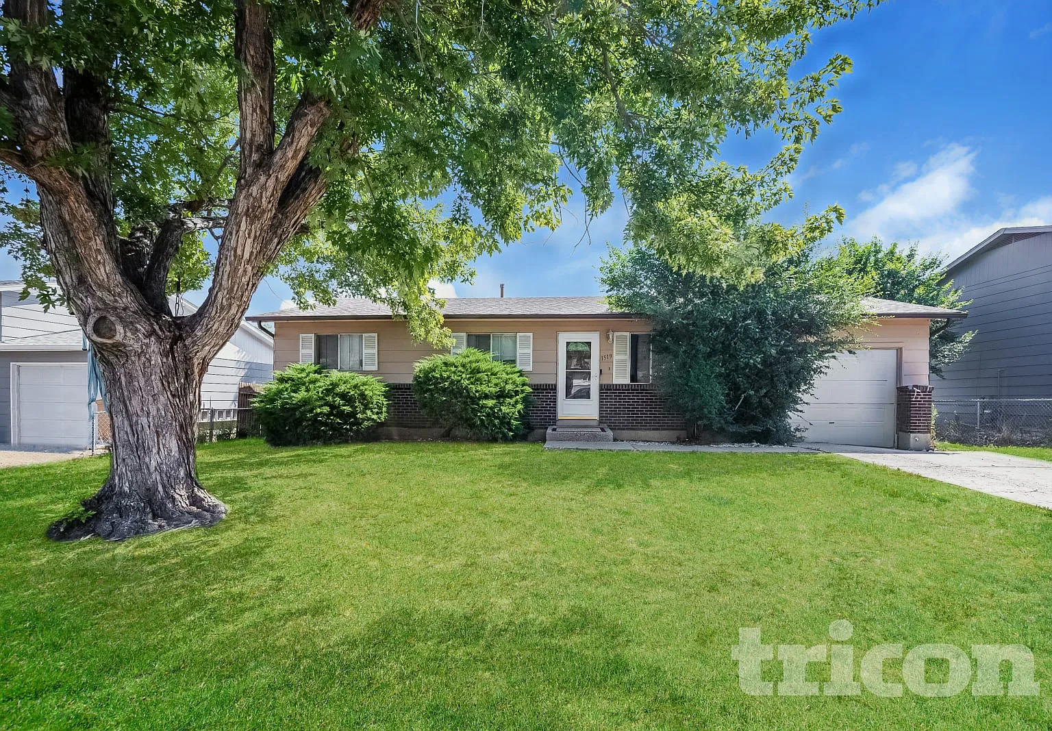 1519 Willshire Dr Colorado Springs CO — Photo 1
