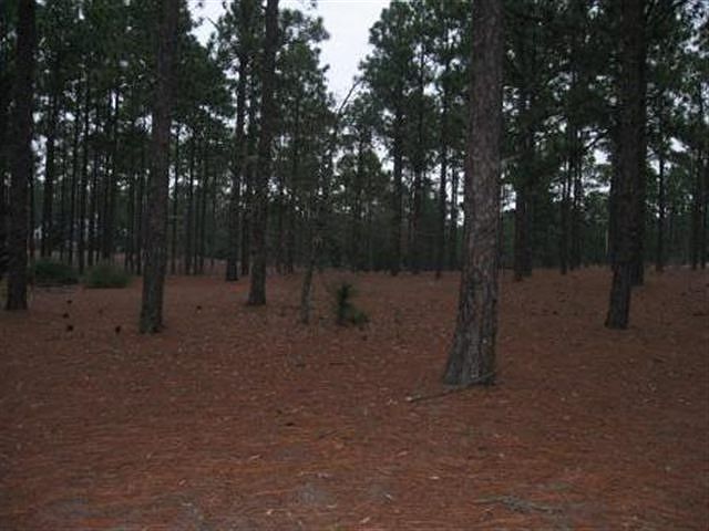 2nd image of TBD Royal Birkdale Court LOT 2089