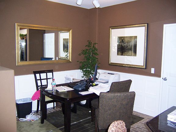 Wainscoat and Designer Paints