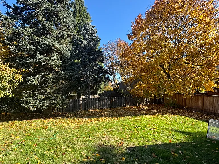 Large fully fenced backyard