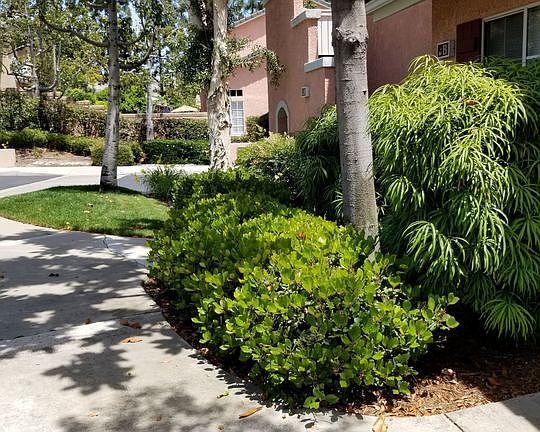 3rd image of 11269 Terra Vista Pkwy #98
