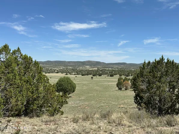 124 Dry Gulch Trl, Seligman, AZ 86337