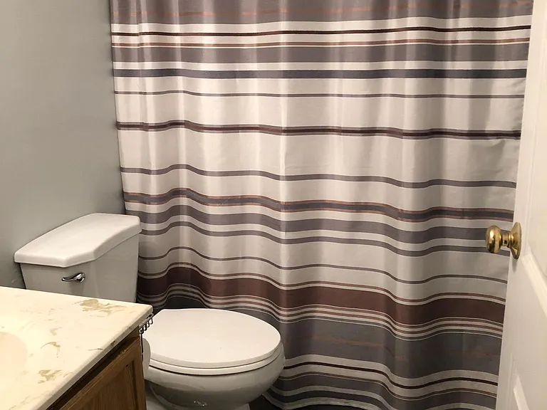 9732 Springfield Woods Cir — Photo 63