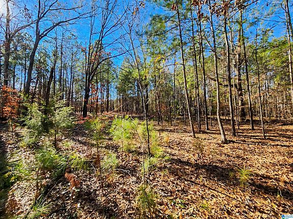 3rd image of 405 County Road 118 #405