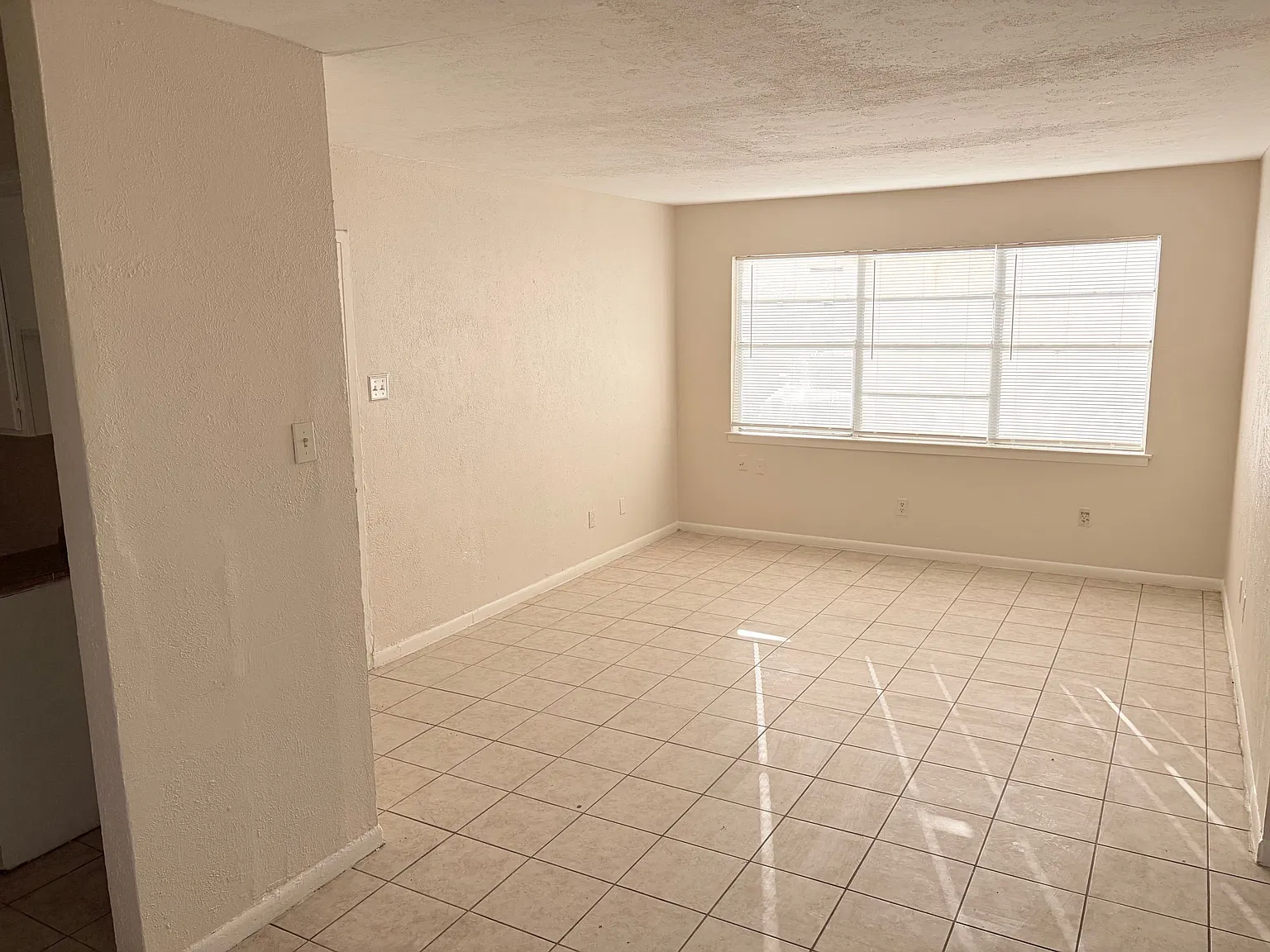 Spacious and clean 2bd/1bath downstairs unit — Photo 1