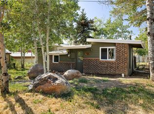 430 W 3rd St, Nederland, CO 80466