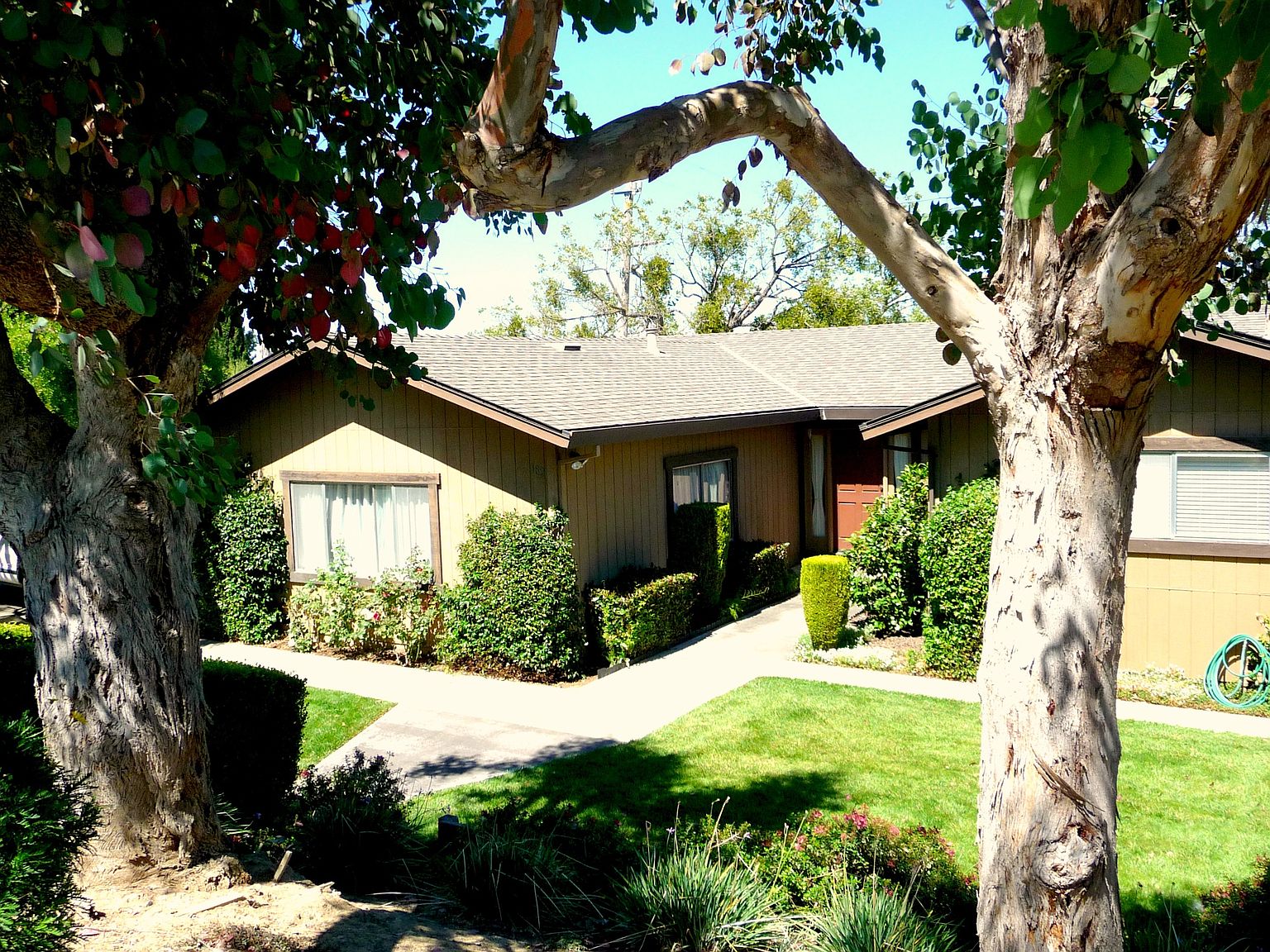 182 Lang St, San Juan Bautista, CA 95045 Zillow