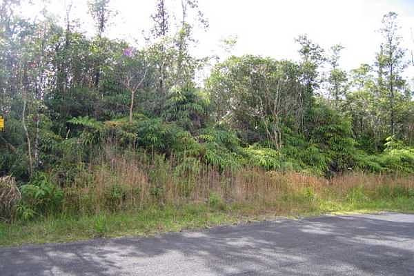 2nd image of Lehua St Lot 7125
