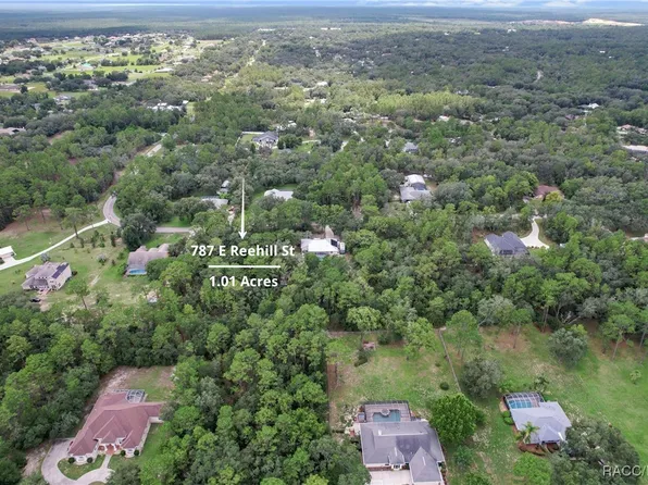 787 E Reehill St, Lecanto, FL 34461