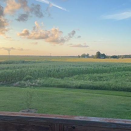 View from the back deck