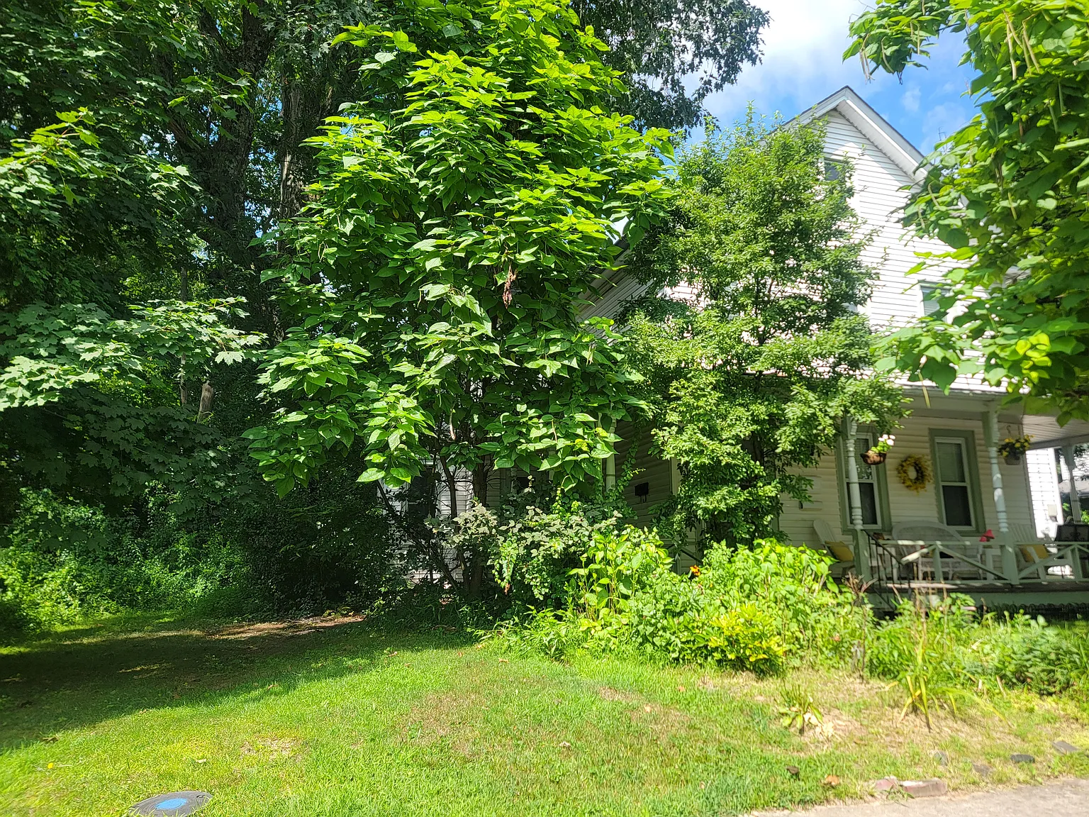 131 Lee Ave photo 1