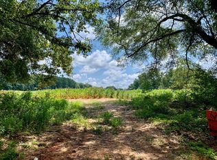 Ollie Pouncey Rd, Chancellor, AL 36316