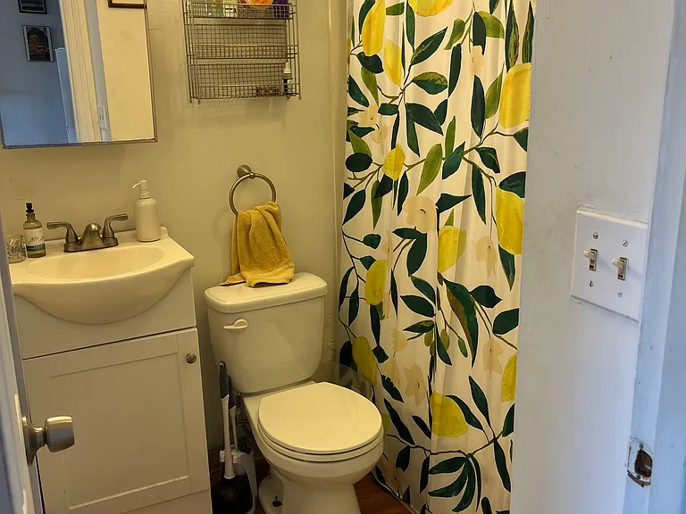 429 Washington Ave #3E — Photo 7