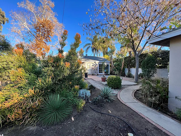 Lush back garden / landscaping /patio and weekly gardener