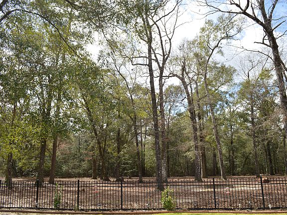 4th image of 17809 Riverwalk Dr