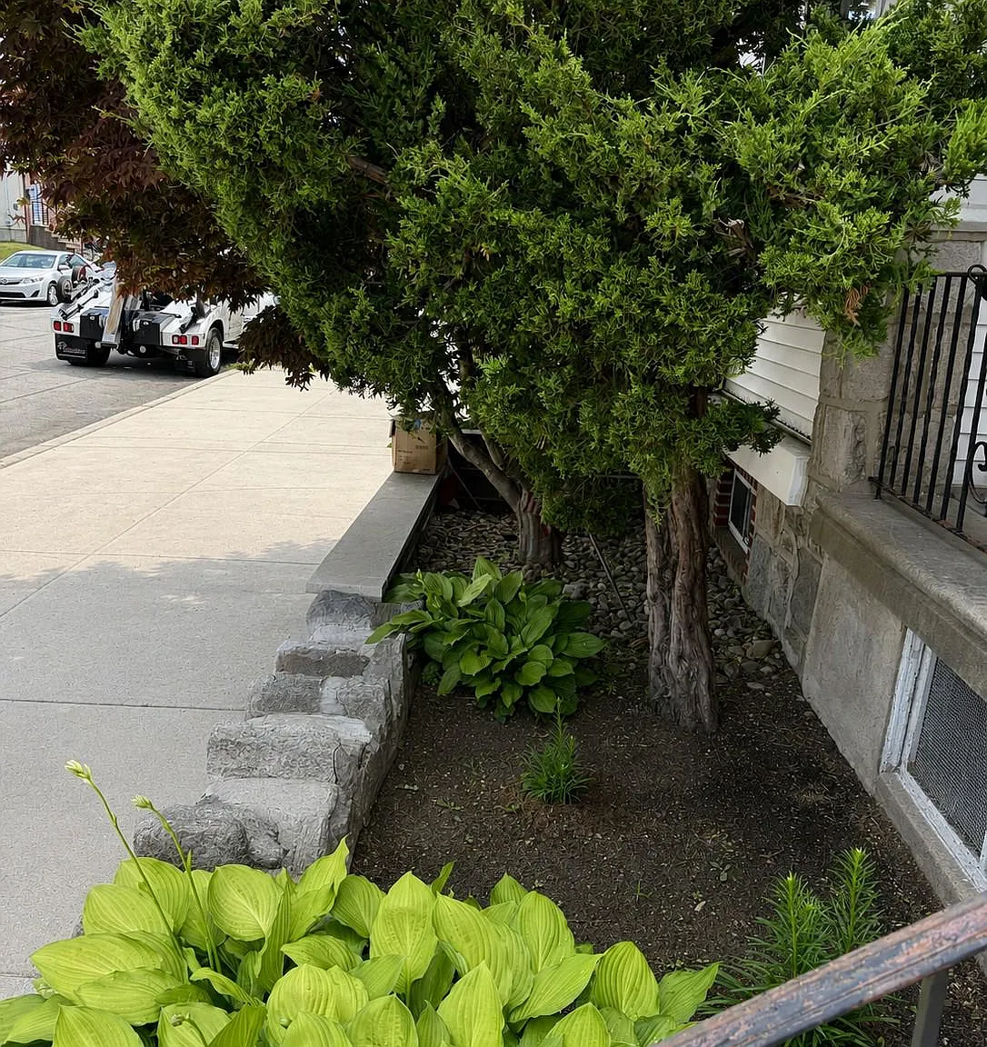 1 bed, 1.0 bath, 650 sqft, $1,200 — Photo 2