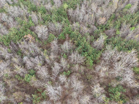 2nd image of Tbd State Rte #850