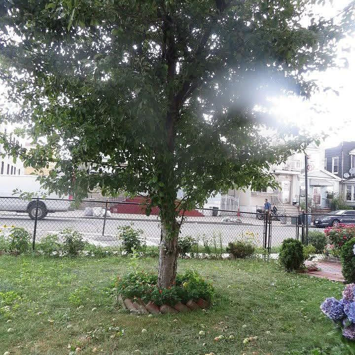 1st image of 132-06 Metropolitan Ave