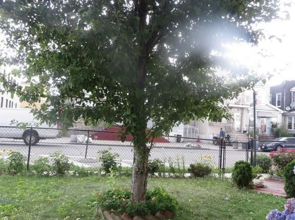 132-06 Metropolitan Ave