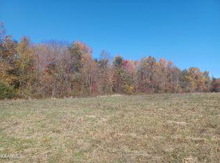 Metzger Ln, Spring City, TN 37381