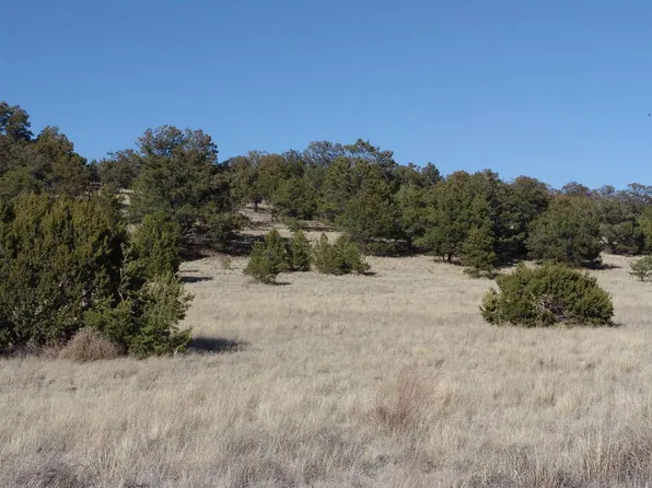 172 Windmill Cir, Datil, NM 87821