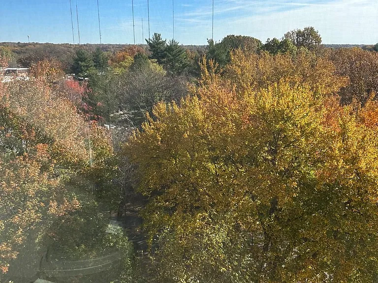 1600 Hagys Ford Rd #9M — Photo 9