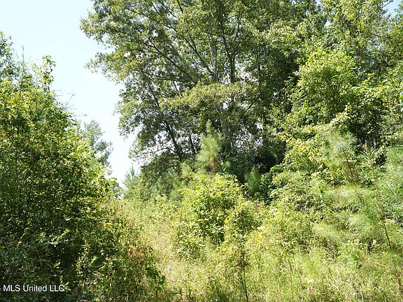 4th image of Joe Booth Rd