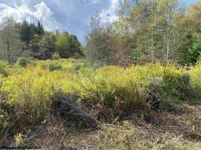 47 Mountainview Dr, Davis, WV, 26260