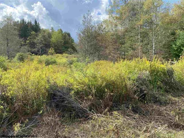 47 Mountainview Dr, Davis, WV 26260