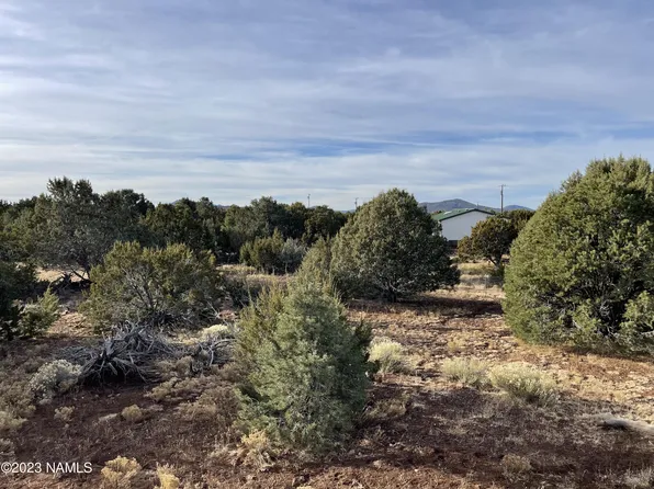 2314 E Starry Night Way #32, Williams, AZ 86046