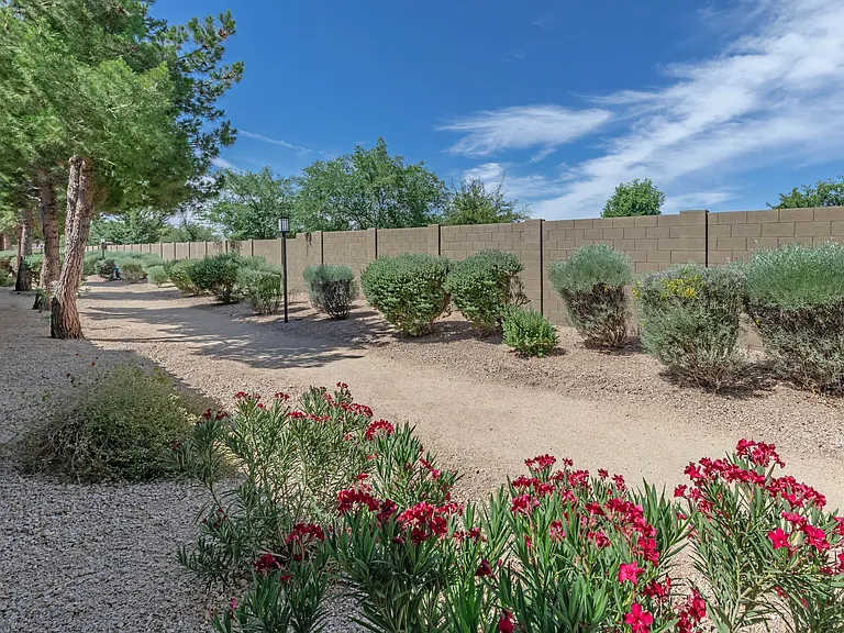 The Paseo by Picerne — Photo 19