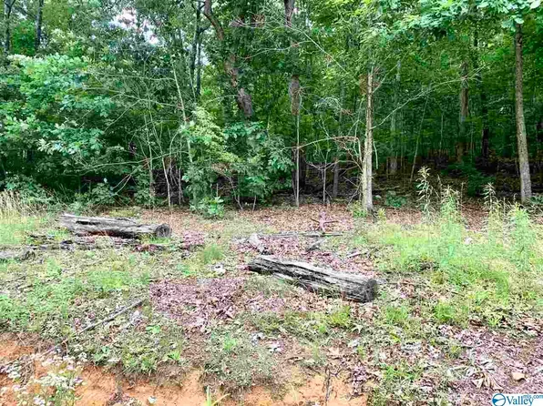 Shady Lane Dr NE, Fort Payne, AL 35967