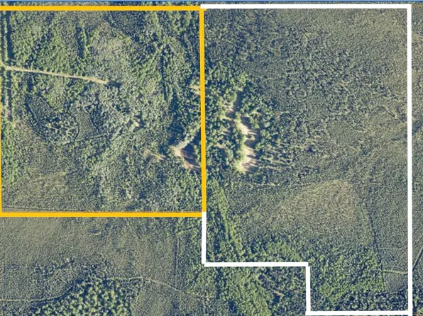 Nhn Foster Rd, Salcha, AK 99714