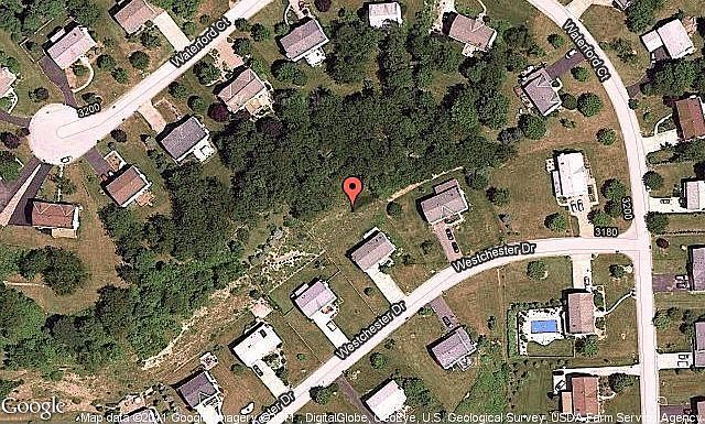 Map View