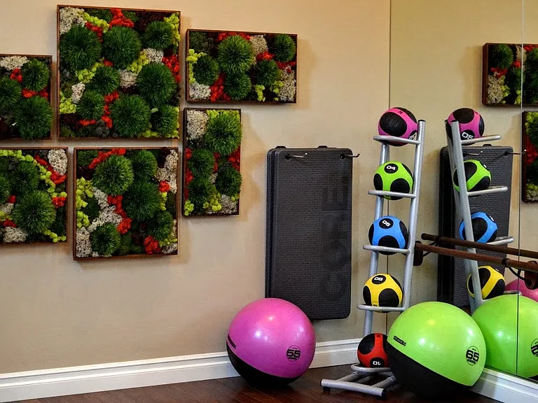 Avino Fitness Center
