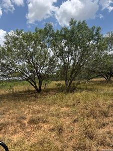 6193 County Road 117 LOT 6C, Floresville, TX, 78114