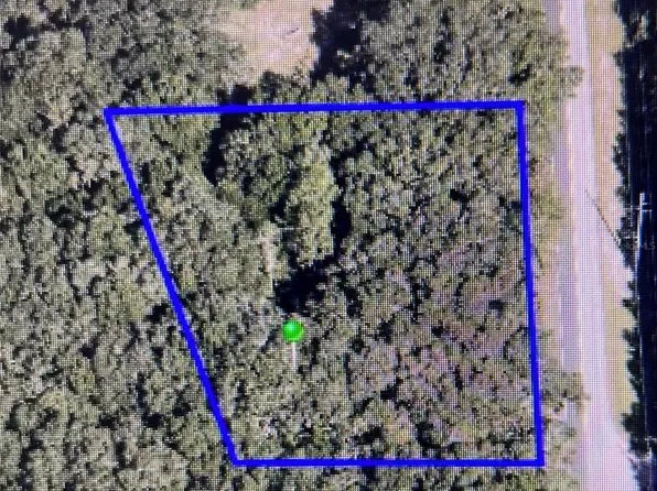 41015 COUNTY ROAD 25 LOT 6, WEIRSDALE, FL 32195