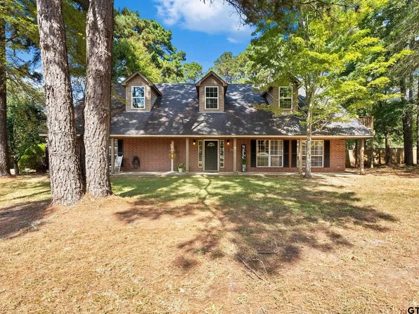 16691 S Lakeview Dr, Troup, TX 75789