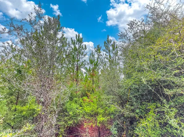 TRACT 6418 N Union Hill Rd, Caryville, FL 32427