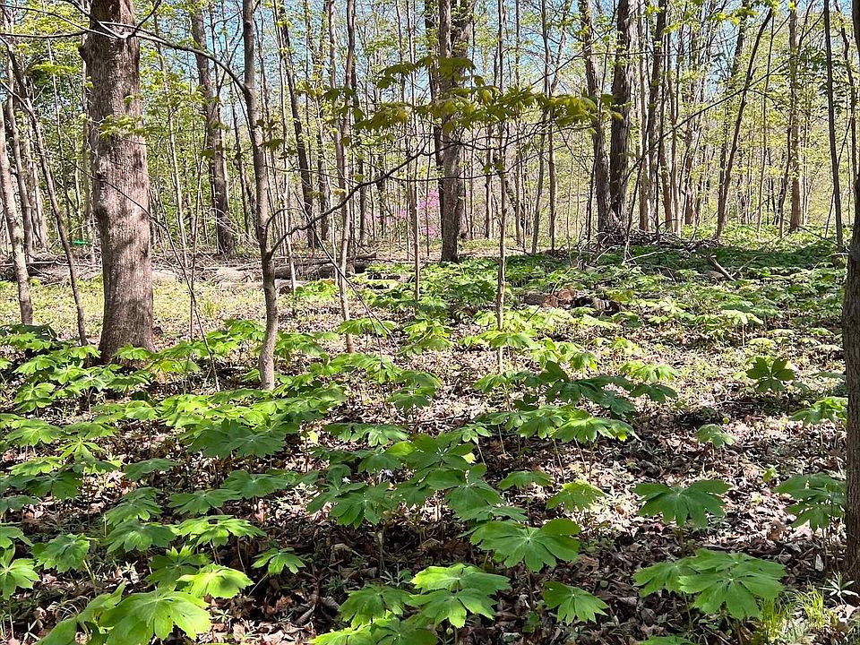 0 N Us Highway 41, Williamsport, IN 47993 MLS 202217734 Zillow