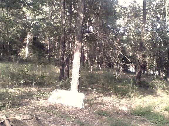 5th image of 20 Tarra Ln
