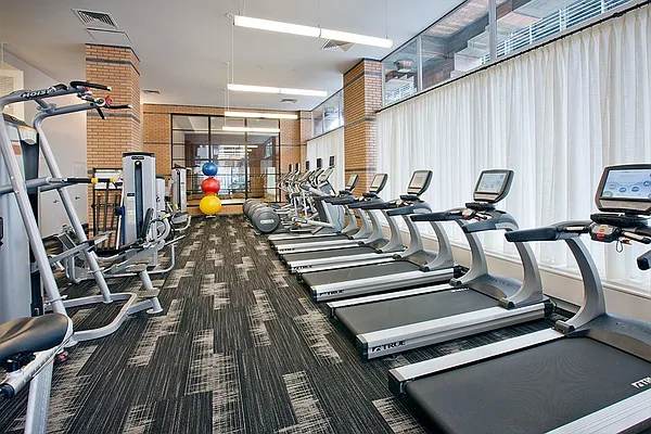 Rented by NY Living Solutions | media 15