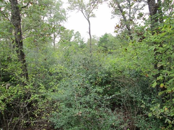 2nd image of 2082 Carter Lake Dr