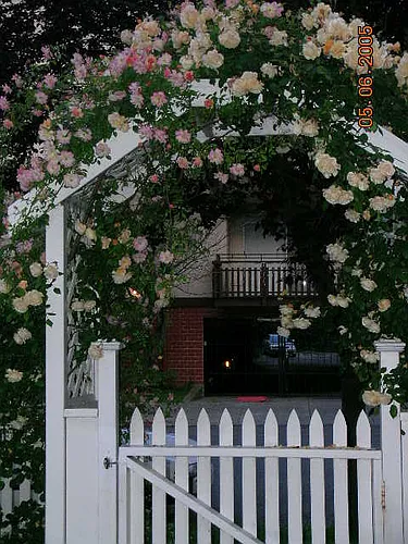 2535 Hillegass House Photo 1