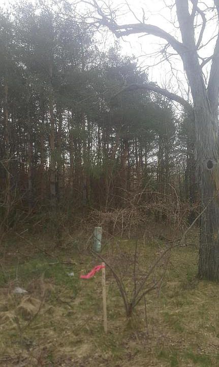 2nd image of 011714 14th Ave NW